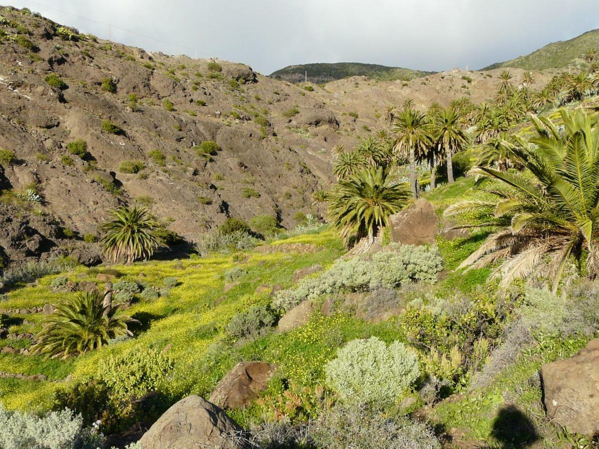 El Pirguan Holiday House, Your Oasis In La Gomera Vallehermoso Exterior photo